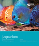 Aquarium- Pet Friendly: Understanding and Caring for Your Pet