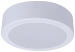 Philipsi Led-paneeliga 23w 2000lm 4000k &uuml;mmargune laelamp