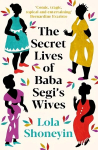 Secret Lives of Baba Segi's Wives Main