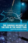 Curious Incident of the Dog in the Night-Time: The Play