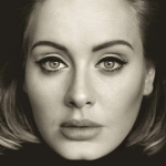 LP ADELE 25 Vin&uuml;&uuml;lplaats