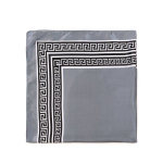 Art of Polo Shawl | Hall sz18914-1