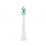 ETA Toothbrush replacement SoftClean ETA