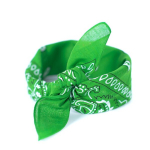 Art of Polo Bandanna | lubi sz13014-5