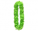 Hawaii kaelaehe, v&auml;rv: roheline (NHSZ-ND) 6281