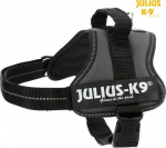 Rakmed koertele Trixie Julius-K9, Mini/M suurus: 51-67 cm x 28 mm, antratsiit sp.
