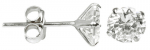 Terasest K&otilde;rvar&otilde;ngad naistele JwL Luxury Pearls JL0216 sJL0216