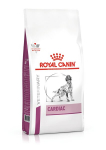 Kuivtoit Royal Canin s&uuml;damepuudulikkusega koertele Dog early cardiac, 2 kg