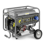 Elektrigeneraator PGG 6/1