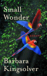 Small Wonder: Author of Demon Copperhead, Winner of the Womens Prize for Fiction Main