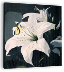 Maalimine numbrite j&auml;rgi "Liiliad", 40x50cm