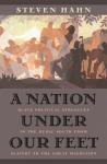 Nation under Our Feet: Black Political Struggles in the Rural South from Slavery to the Great Migration