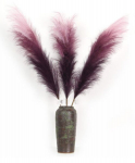 Ombre stiilis pampa, 5 tk (100 cm)