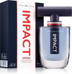Meeste parf&uuml;&uuml;m Tommy Hilfiger Impact EDT, 100 ml