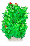 Fooliumtaim 20cm 2f11 Happet