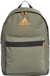 Seljakott Adidas Clas Bp Fabric, roheline