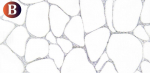 Laudlina Grace, 50x100 cm