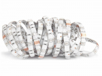 LED riba 12V | 5050 | 150LED | 5m | IP65 | RGB