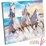 Pilt joonistamine numbrite j&auml;rgi raamil hobune hobused 40x50 cm