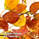 Snail Garden 2 kimpu 100 cm pikkused kunstlikud s&uuml;gistaimeoksad, oranžid kunsttaimed, kunstlikud eukal&uuml;pti t&uuml;ved s&uuml;giseseks kaunistuseks, s&uuml;gisesed eukal&uuml;pti lehed varrega koju, festivalile