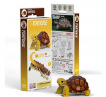 Konstruktorkomplekt 3D Eugy maismaakilpkonn