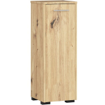 Vannitoa kapp Akord Fin S30 1D, pruun