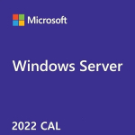 Microsoft Windows Server CAL 2022 OEM R18-06466