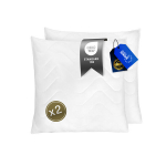 FAM' HOME padjad, 65x65cm, 2 tk &ndash; pehmed, mugavad, h&uuml;poallergeensed