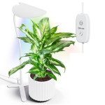 DIIVOO LED-taimelamp Bluetoothiga B0BKQB7MMJ