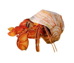 Paberist 3D-pusle Makebug Erakkrabi MB-B-0008