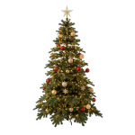 Kunstkuusk Chilly, 2.4 m