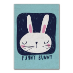 Asir kilimas Hmı Kdc98 160x230 cm