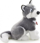 Husky Marcus L - Trudi