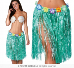 Hawaii lilleline seelik &ndash; Aloha peoks