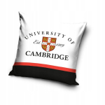 3d University of Cambridge 40x40 cm kate