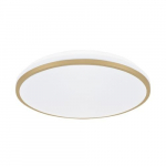 Struhm Linus Led laevalgusti, 24w, 38cm, kuldne