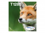 EPSON EasyMail MP Fox-DURABrite Ultra