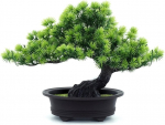 Kunstlik bonsai puu kaunistuseks 24 cm 1 tk