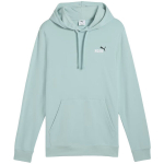 Meeste pusa Puma Ess 2 Color Small No.1 Logo Hoodie TR mintroheline 684719 67, S