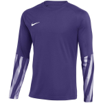 Nike Dri-Fit Park V Stadium meeste s&auml;rk, lilla HV8314 507