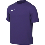 Nike Dri-Fit Park VIII meeste s&auml;rk, lilla, HV8173 547
