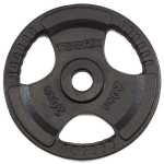 Kangi raskused Toorx DGN-TG20 D50mm 20kg