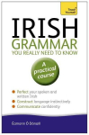 Irish Grammar You Really Need to Know: Teach Yourself 2nd edition