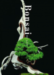 Bonsai: Reprint Edition