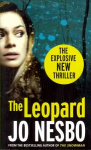 Leopard: A Harry Hole Thriller, 6, Oslo Sequence