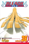 Bleach, Vol. 36: Turn Back the Pendulum, 36