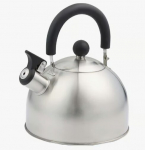 Ambition veekeetja koos vilega Tytus, 1,6 l