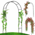 Aia pergola lilledele, "Magus suvi"