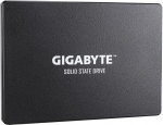 Gigabyte GP-GSTFS31256GTND