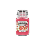 Yankee Candle l&otilde;hnak&uuml;&uuml;nal Home Inspiration suured suhkrustatud maasikad 538 g